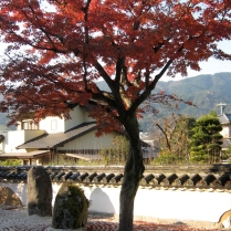Kōmyōzenji fills up every fall with crowds admiring the blazing foliage (November 2010)